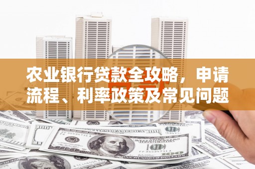 南区农业银行贷款全攻略，申请流程、利率政策及常见问题解析