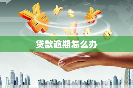 南区贷款逾期怎么办