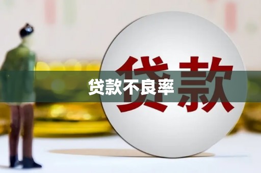 南区贷款不良率