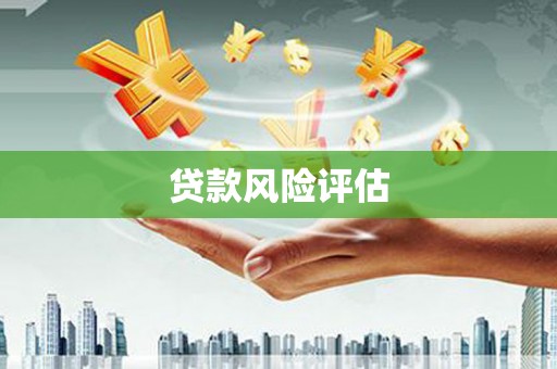 南区贷款风险评估
