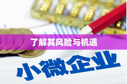 南区了解其风险与机遇