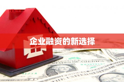 南区企业融资的新选择