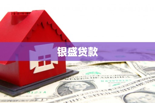 南区银盛贷款