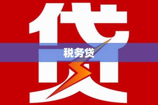 南区税务贷