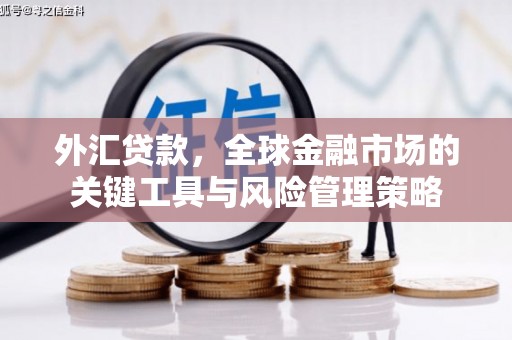 南区外汇贷款，全球金融市场的关键工具与风险管理策略