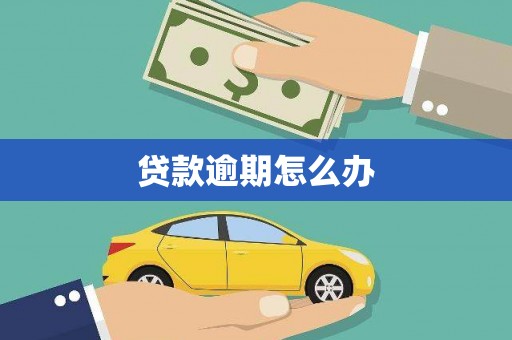 南区贷款逾期怎么办