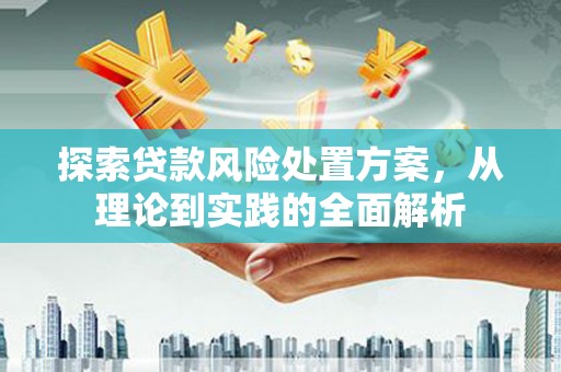 南区探索贷款风险处置方案，从理论到实践的全面解析