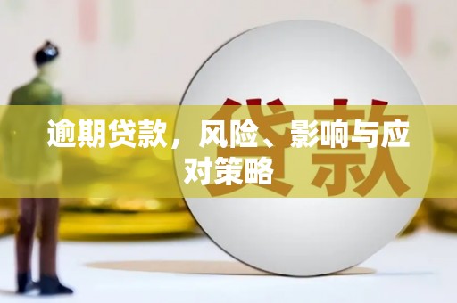 南区逾期贷款，风险、影响与应对策略