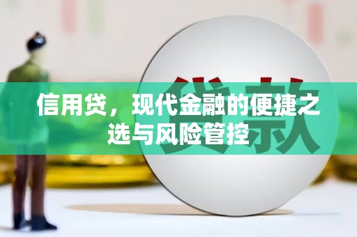 南区信用贷，现代金融的便捷之选与风险管控