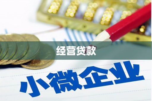 南区经营贷款