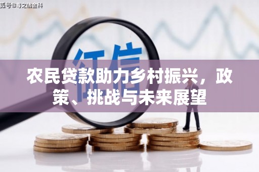南区农民贷款助力乡村振兴，政策、挑战与未来展望