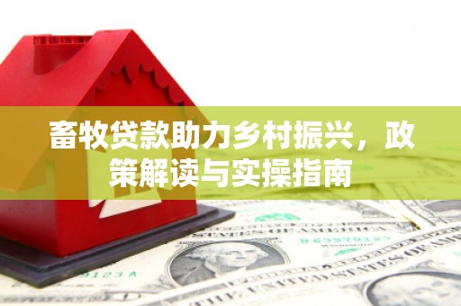 南区畜牧贷款助力乡村振兴，政策解读与实操指南