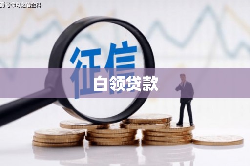 南区白领贷款