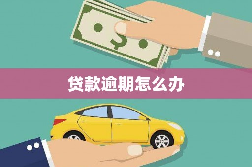 南区贷款逾期怎么办