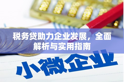 南区税务贷助力企业发展，全面解析与实用指南