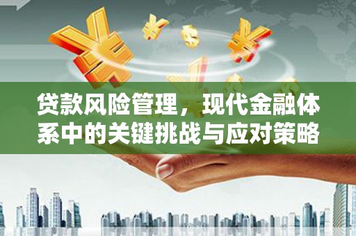 南区贷款风险管理，现代金融体系中的关键挑战与应对策略