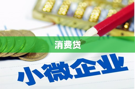 南区消费贷