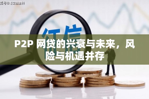 南区P2P 网贷的兴衰与未来，风险与机遇并存