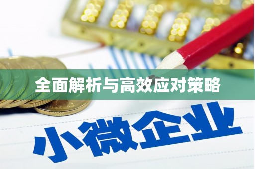 南区全面解析与高效应对策略